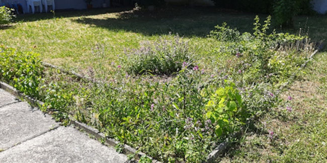 Pfarrgarten 2